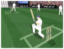 Cricket Challenge free online sports game two teams