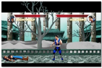 Mortal Kombat Karnage online fighting game play free